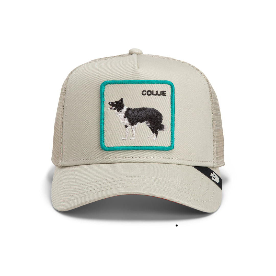 GOORIN COLLIE ANIMAL TRUCKER HAT