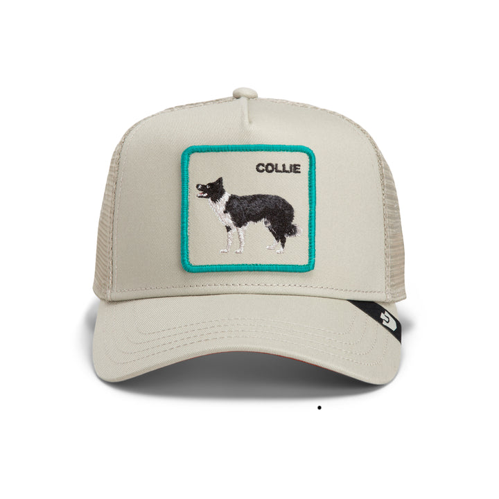 GOORIN COLLIE ANIMAL TRUCKER HAT