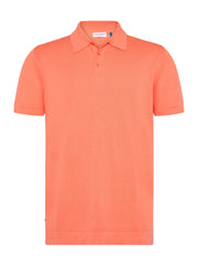 A FISH NAMED FRED 31.312 POLO