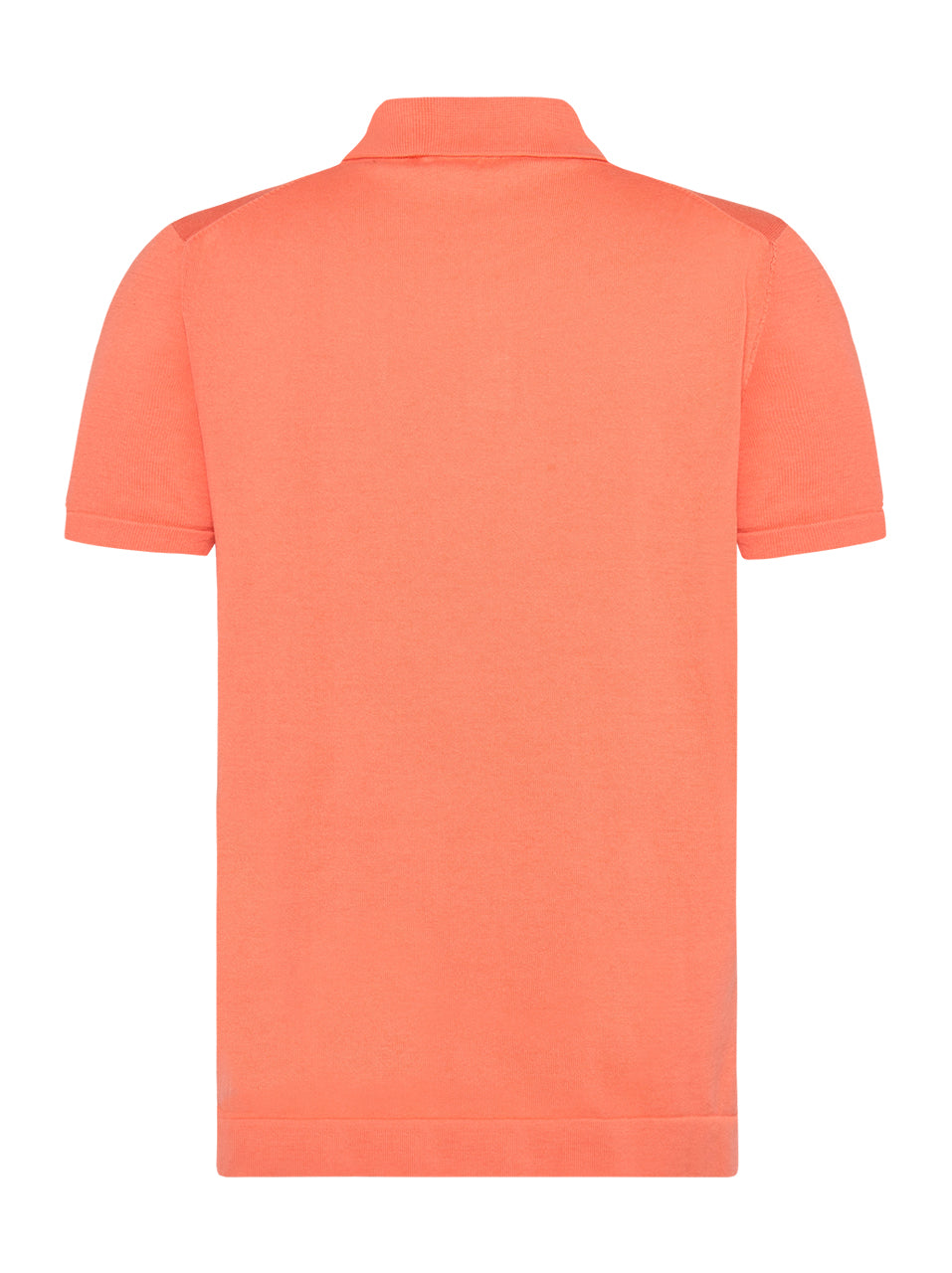 A FISH NAMED FRED 31.312 POLO