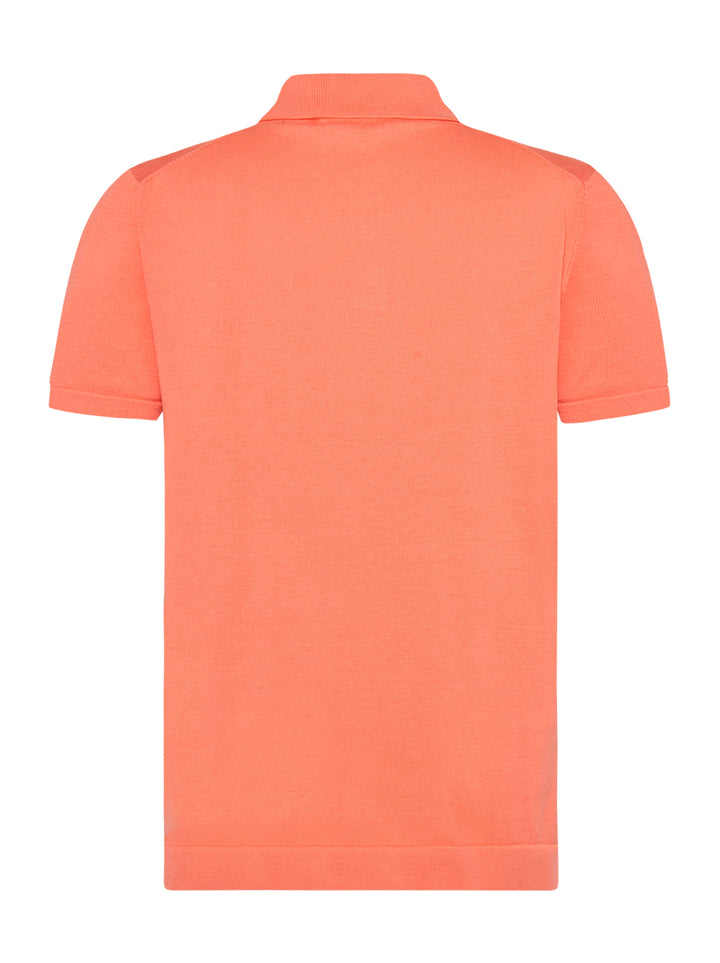 A FISH NAMED FRED 31.312 POLO