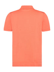 A FISH NAMED FRED 31.312 POLO
