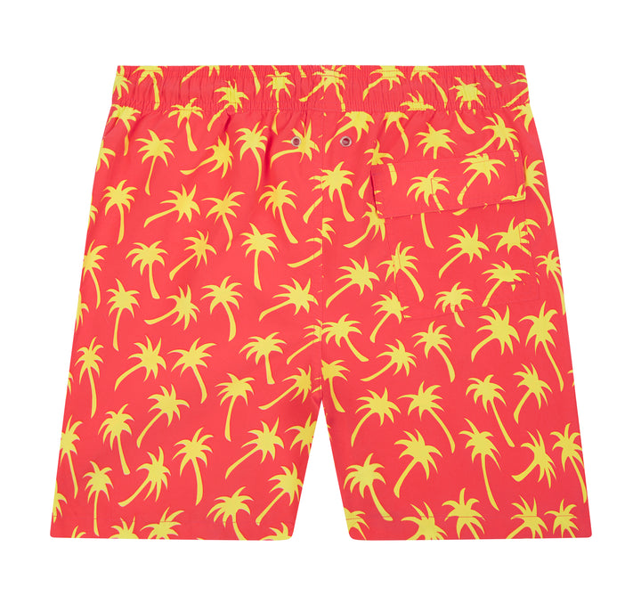 TOM & TEDDY PALM SWIM SHORT *ONLINE ONLY*