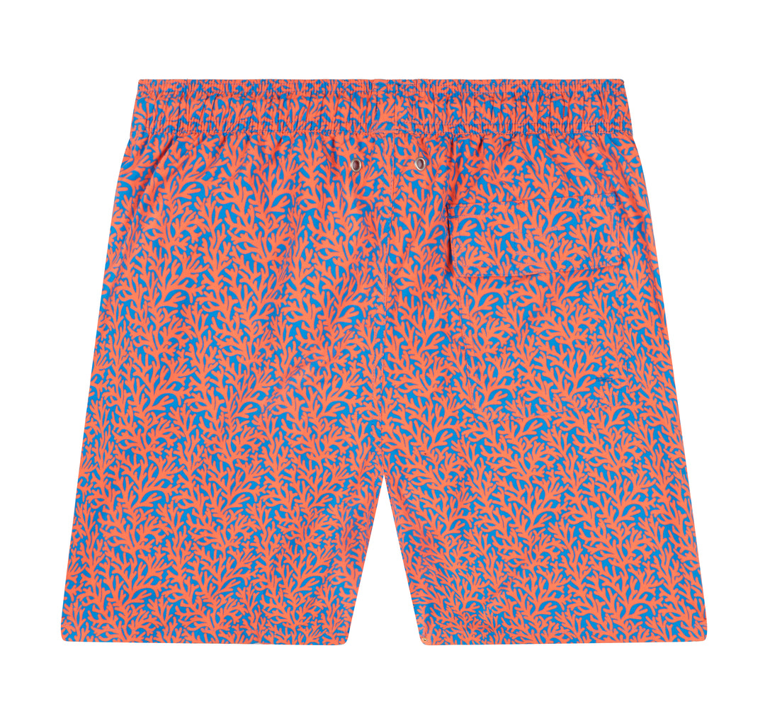 TOM & TEDDY CORAL SWIM SHORT