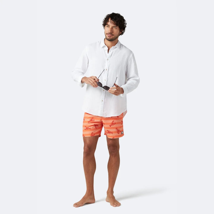 TOM & TEDDY LOBSTER SWIM SHORT