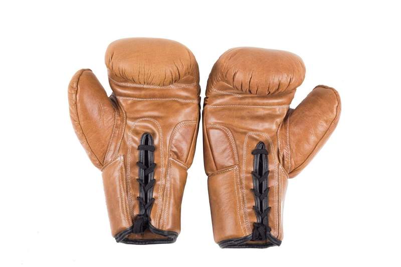 INDEPAL ERA BOXING GLOVES